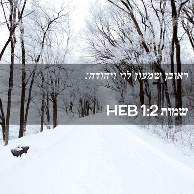 Picture 02 - שמות 1:2 HEB - ראובן שמעון לוי - Bible Verse Picture
