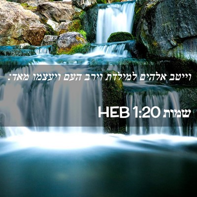 Picture 02 - שמות 1:20 HEB - וייטב אלהים למילדת וירב - Bible Verse Picture