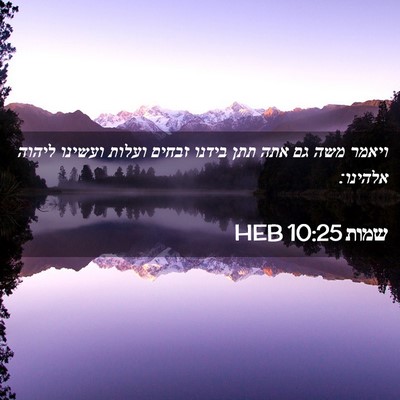 Picture 02 - שמות 10:25 HEB - ויאמר משה גם אתה תתן בידנו - Bible Verse Picture
