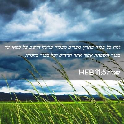 Picture 02 - שמות 11:5 HEB - ומת כל בכור בארץ מצרים - Bible Verse Picture