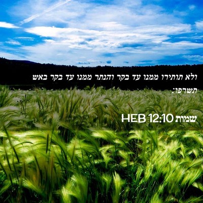 Picture 02 - שמות 12:10 HEB - ולא תותירו ממנו עד בקר - Bible Verse Picture