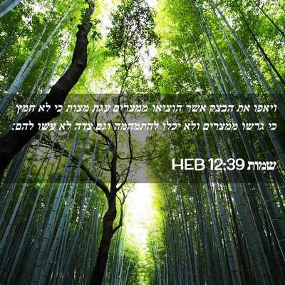 Picture 02 - שמות 12:39 HEB - ויאפו את הבצק אשר הוציאו - Bible Verse Picture