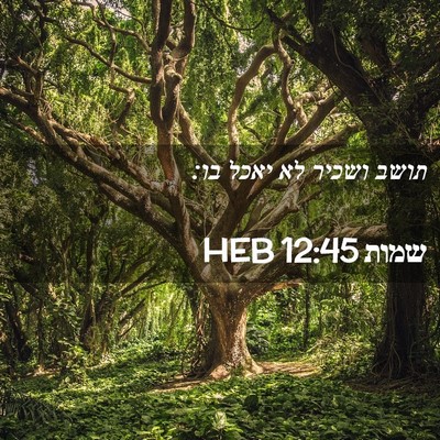 Picture 02 - שמות 12:45 HEB - תושב ושכיר לא יאכל - Bible Verse Picture