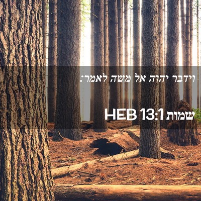 Picture 02 - שמות 13:1 HEB - וידבר יהוה אל משה - Bible Verse Picture