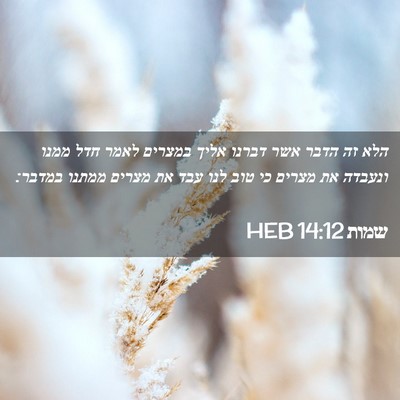 Picture 02 - שמות 14:12 HEB - הלא זה הדבר אשר דברנו אליך - Bible Verse Picture