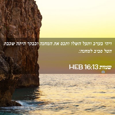 Picture 02 - שמות 16:13 HEB - ויהי בערב ותעל השלו ותכס את - Bible Verse Picture