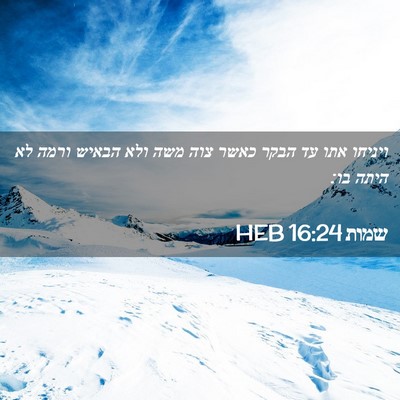 Picture 02 - שמות 16:24 HEB - ויניחו אתו עד הבקר כאשר צוה - Bible Verse Picture