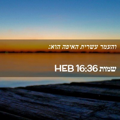 Picture 02 - שמות 16:36 HEB - והעמר עשרית האיפה - Bible Verse Picture