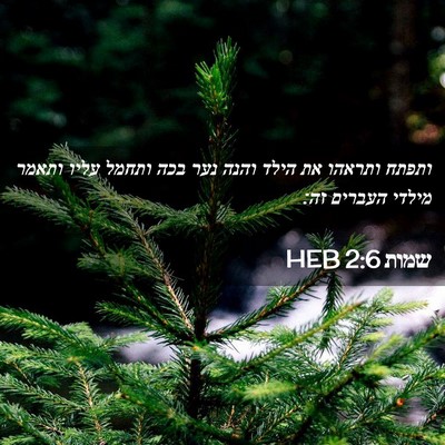 Picture 02 - שמות 2:6 HEB - ותפתח ותראהו את הילד והנה - Bible Verse Picture