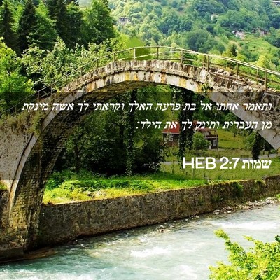 Picture 02 - שמות 2:7 HEB - ותאמר אחתו אל בת פרעה האלך - Bible Verse Picture