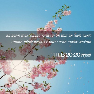 Picture 02 - שמות 20:20 HEB - ויאמר משה אל העם אל תיראו - Bible Verse Picture
