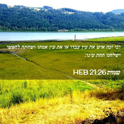 Picture 02 - שמות 21:26 HEB - וכי יכה איש את עין עבדו או - Bible Verse Picture