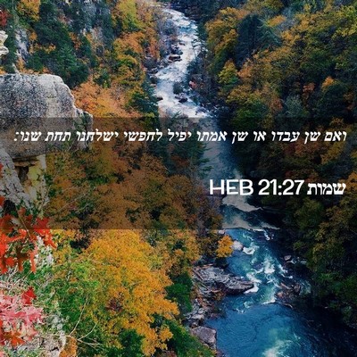 Picture 02 - שמות 21:27 HEB - ואם שן עבדו או שן אמתו יפיל - Bible Verse Picture