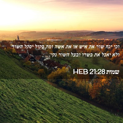 Picture 02 - שמות 21:28 HEB - וכי יגח שור את איש או את אשה - Bible Verse Picture