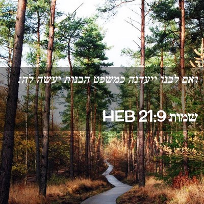 Picture 02 - שמות 21:9 HEB - ואם לבנו ייעדנה כמשפט - Bible Verse Picture