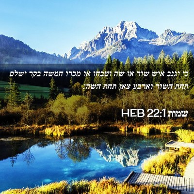 Picture 02 - שמות 22:1 HEB - כי יגנב איש שור או שה וטבחו - Bible Verse Picture