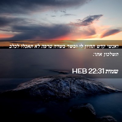 Picture 02 - שמות 22:31 HEB - ואנשי קדש תהיון לי ובשר - Bible Verse Picture