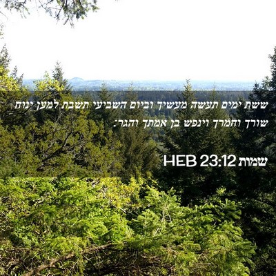 Picture 02 - שמות 23:12 HEB - ששת ימים תעשה מעשיך וביום - Bible Verse Picture