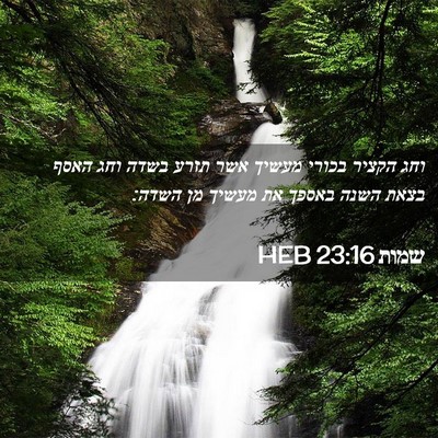 Picture 02 - שמות 23:16 HEB - וחג הקציר בכורי מעשיך אשר - Bible Verse Picture
