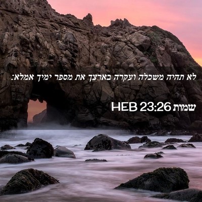 Picture 02 - שמות 23:26 HEB - לא תהיה משכלה ועקרה בארצך - Bible Verse Picture