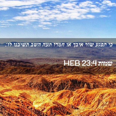 Picture 02 - שמות 23:4 HEB - כי תפגע שור איבך או חמרו - Bible Verse Picture