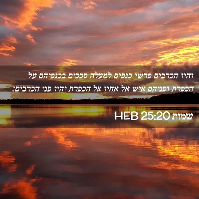 Picture 02 - שמות 25:20 HEB - והיו הכרבים פרשי כנפים - Bible Verse Picture
