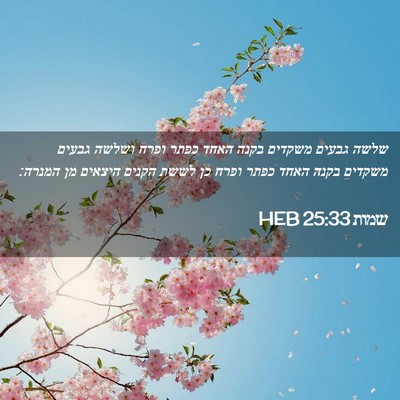 Picture 02 - שמות 25:33 HEB - שלשה גבעים משקדים בקנה - Bible Verse Picture