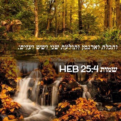 Picture 02 - שמות 25:4 HEB - ותכלת וארגמן ותולעת שני - Bible Verse Picture