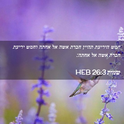 Picture 02 - שמות 26:3 HEB - חמש היריעת תהיין חברת אשה - Bible Verse Picture