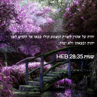 Picture 02 - שמות 28:35 HEB - והיה על אהרן לשרת ונשמע - Bible Verse Picture