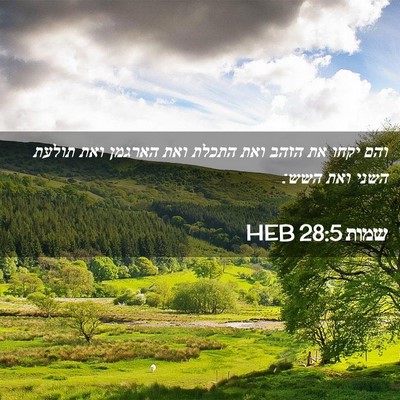 Picture 02 - שמות 28:5 HEB - והם יקחו את הזהב ואת התכלת - Bible Verse Picture