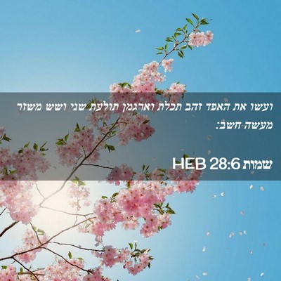 Picture 02 - שמות 28:6 HEB - ועשו את האפד זהב תכלת - Bible Verse Picture