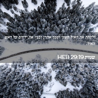 Picture 02 - שמות 29:19 HEB - ולקחת את האיל השני וסמך - Bible Verse Picture