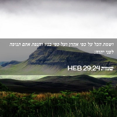 Picture 02 - שמות 29:24 HEB - ושמת הכל על כפי אהרן ועל - Bible Verse Picture