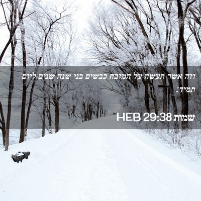 Picture 02 - שמות 29:38 HEB - וזה אשר תעשה על המזבח כבשים - Bible Verse Picture