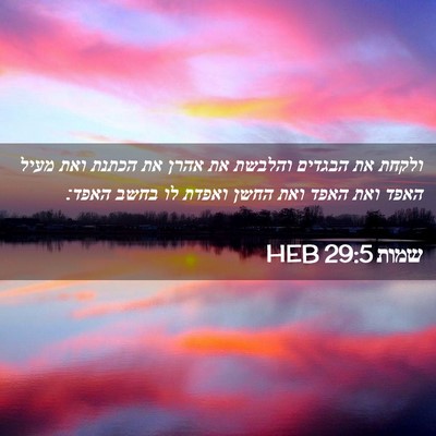 Picture 02 - שמות 29:5 HEB - ולקחת את הבגדים והלבשת את - Bible Verse Picture