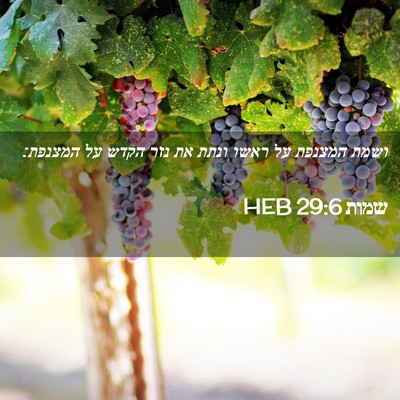 Picture 02 - שמות 29:6 HEB - ושמת המצנפת על ראשו ונתת את - Bible Verse Picture
