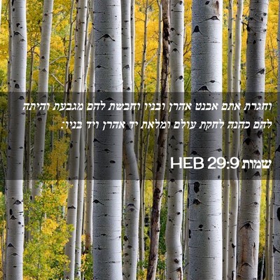 Picture 02 - שמות 29:9 HEB - וחגרת אתם אבנט אהרן ובניו - Bible Verse Picture