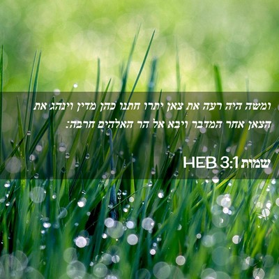 Picture 02 - שמות 3:1 HEB - ומשה היה רעה את צאן יתרו - Bible Verse Picture