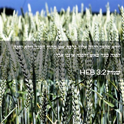 Picture 02 - שמות 3:2 HEB - וירא מלאך יהוה אליו בלבת אש - Bible Verse Picture