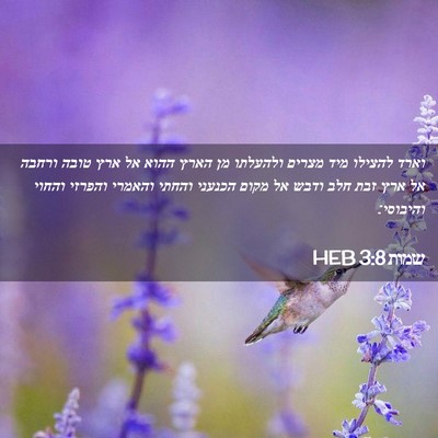 Picture 02 - שמות 3:8 HEB - וארד להצילו מיד מצרים - Bible Verse Picture