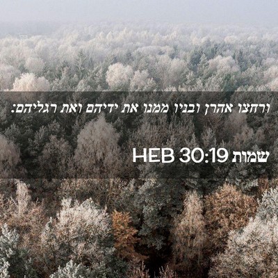 Picture 02 - שמות 30:19 HEB - ורחצו אהרן ובניו ממנו את - Bible Verse Picture