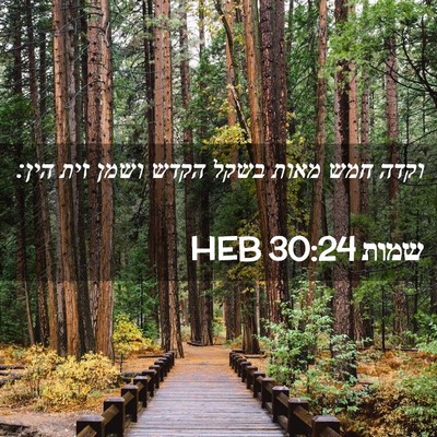 Picture 02 - שמות 30:24 HEB - וקדה חמש מאות בשקל הקדש - Bible Verse Picture