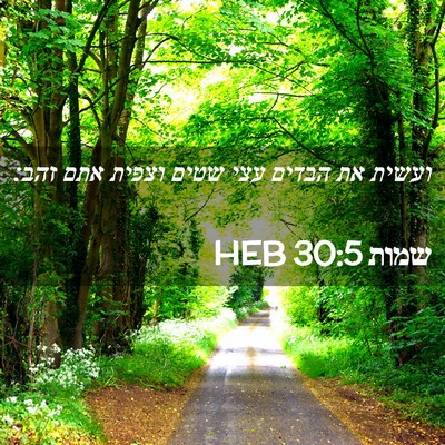 Picture 02 - שמות 30:5 HEB - ועשית את הבדים עצי שטים - Bible Verse Picture