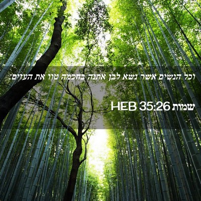 Picture 02 - שמות 35:26 HEB - וכל הנשים אשר נשא לבן אתנה - Bible Verse Picture
