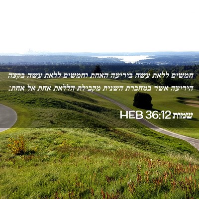 Picture 02 - שמות 36:12 HEB - חמשים ללאת עשה ביריעה האחת - Bible Verse Picture