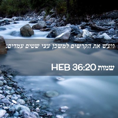 Picture 02 - שמות 36:20 HEB - ויעש את הקרשים למשכן עצי - Bible Verse Picture