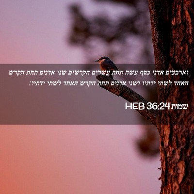 Picture 02 - שמות 36:24 HEB - וארבעים אדני כסף עשה תחת - Bible Verse Picture