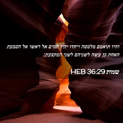 Picture 02 - שמות 36:29 HEB - והיו תואמם מלמטה ויחדו - Bible Verse Picture