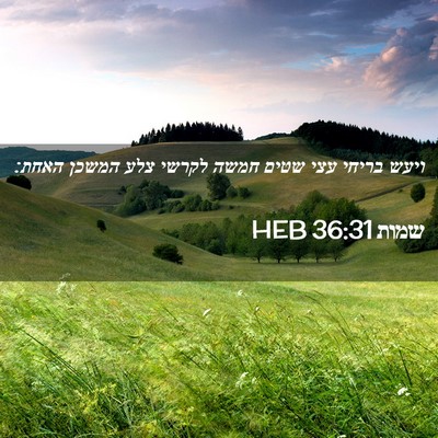 Picture 02 - שמות 36:31 HEB - ויעש בריחי עצי שטים חמשה - Bible Verse Picture